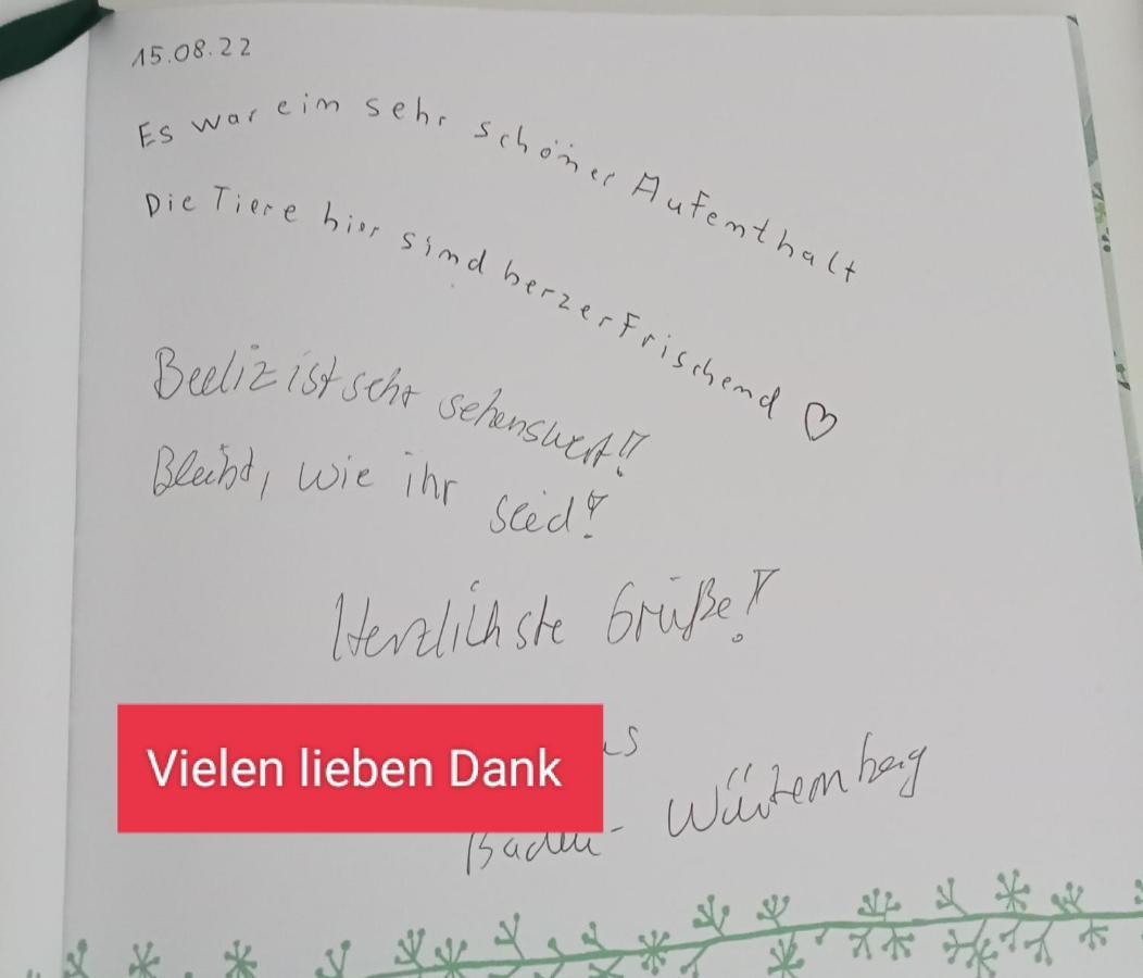 Ferienzimmer Waldzauber Borkwalde Exterior foto